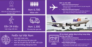 Tổng Đài Liên Hệ FedEx Việt Nam – Kênh Hỗ Trợ Chính Thức Cho Dịch Vụ Chuyển Phát Quốc Tế