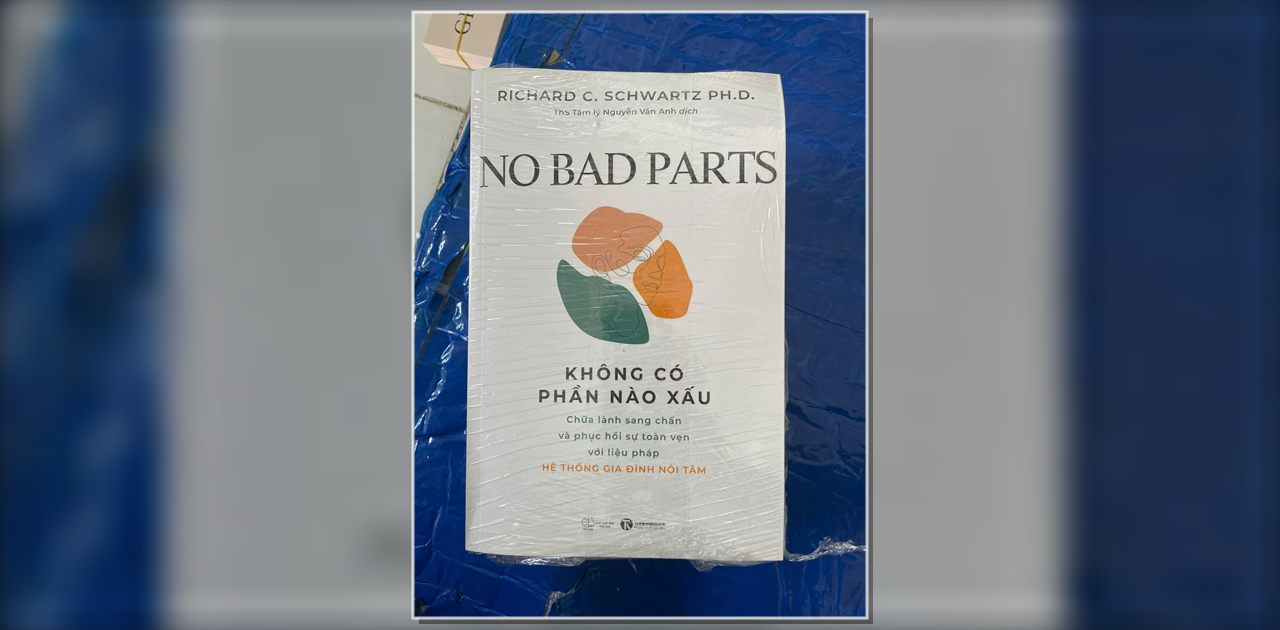 Bảng Giá Gửi Hàng Đi Singapore Bao Nhiêu 1Kg? Báo Giá Sỉ +21Kg, +45Kg, +100Kg - Bìa sách No Bad Parts được bọc nilon