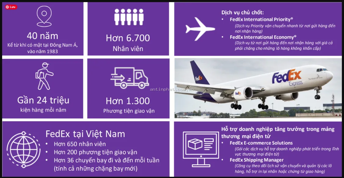 FedEx Việt Nam 2026: Dịch Vụ Chuyển Phát Nhanh FedEx Express Uy Tín Tại An Tín Phát