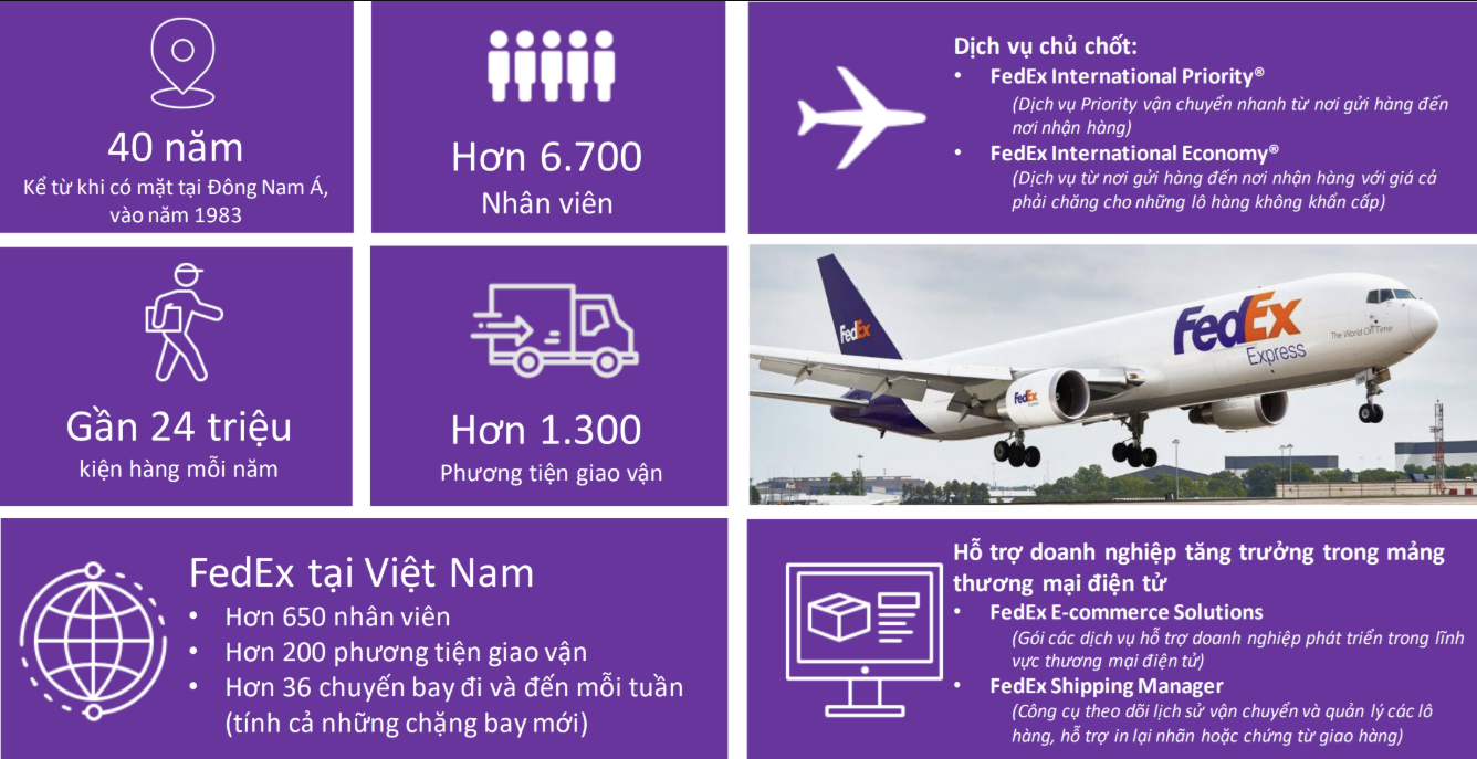 Tổng Đài Liên Hệ FedEx Việt Nam – Kênh Hỗ Trợ Chính Thức Cho Dịch Vụ Chuyển Phát Quốc Tế